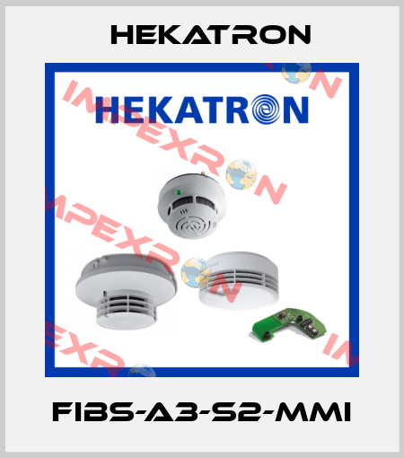 FIBS-A3-S2-MMI Hekatron