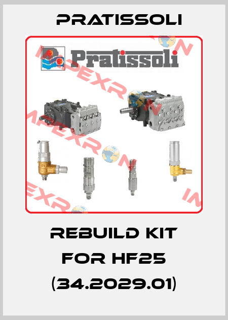 rebuild kit for HF25 (34.2029.01) Pratissoli