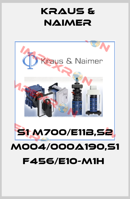 S1 M700/E11B,S2 M004/000A190,S1 F456/E10-M1H  Kraus & Naimer