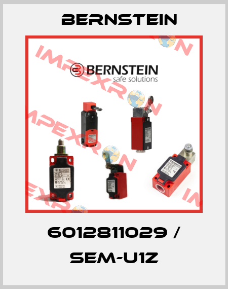 6012811029 / SEM-U1Z Bernstein