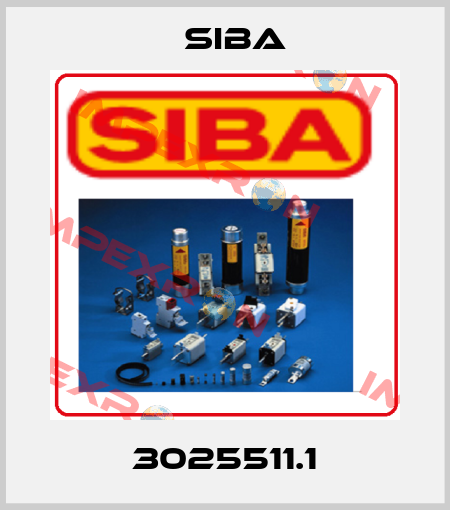 3025511.1 Siba