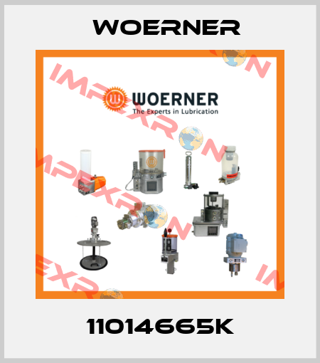 11014665K Woerner