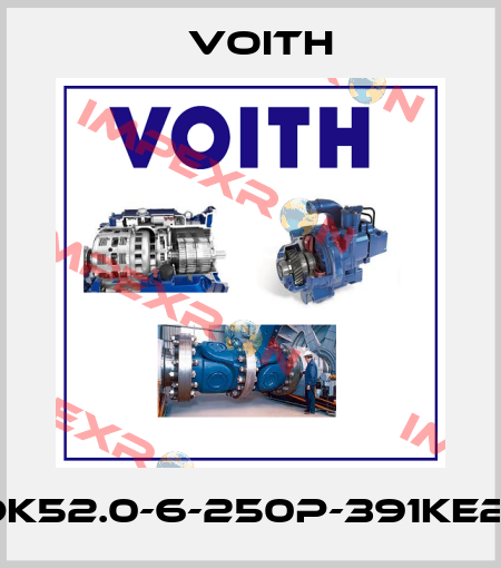 DK52.0-6-250P-391KE2* Voith