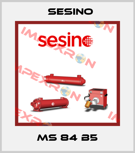 MS 84 B5 Sesino