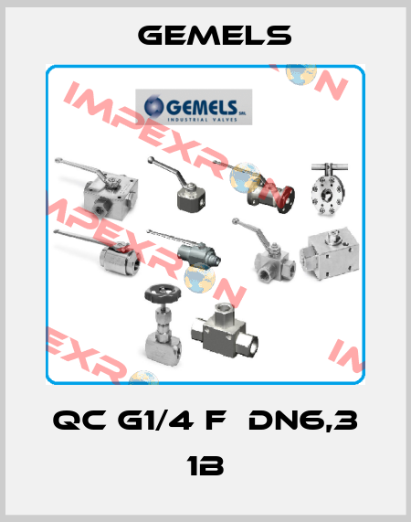 QC G1/4 F  DN6,3 1B Gemels