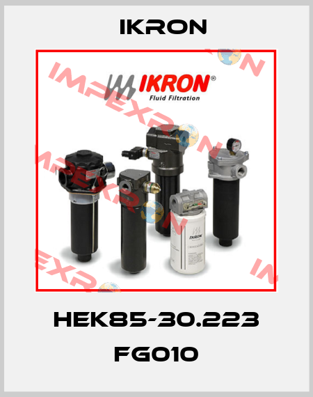 HEK85-30.223 FG010 Ikron