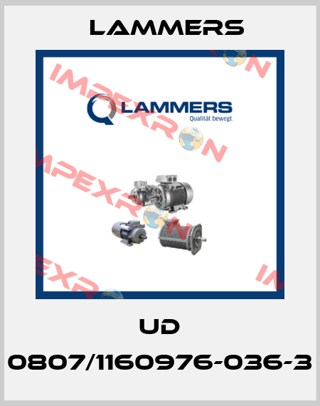UD 0807/1160976-036-3 Lammers