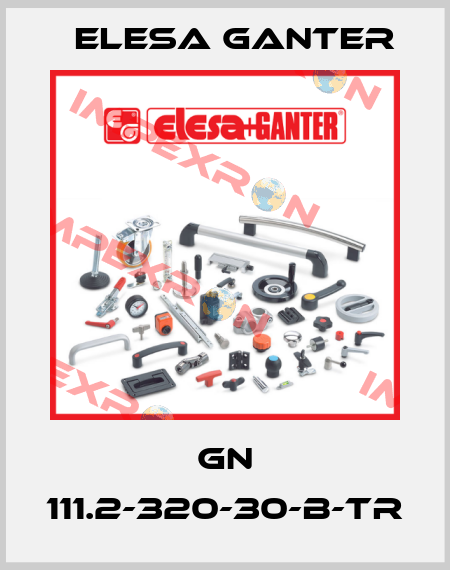 GN 111.2-320-30-B-TR Elesa Ganter