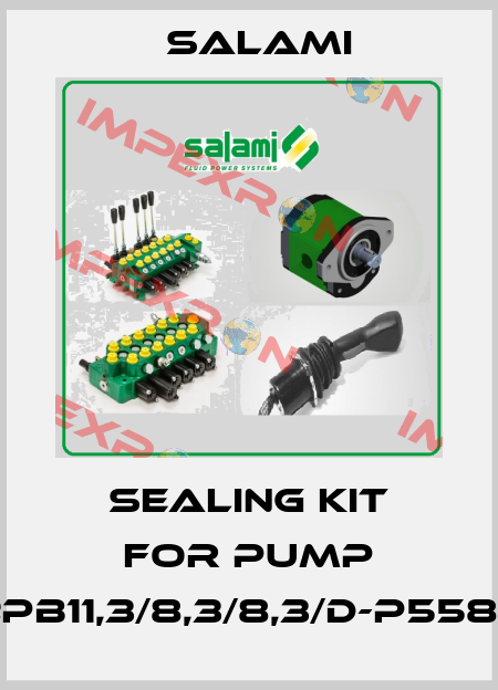sealing kit for pump 2PB11,3/8,3/8,3/D-P5583 Salami