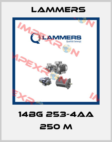 14BG 253-4AA 250 M Lammers