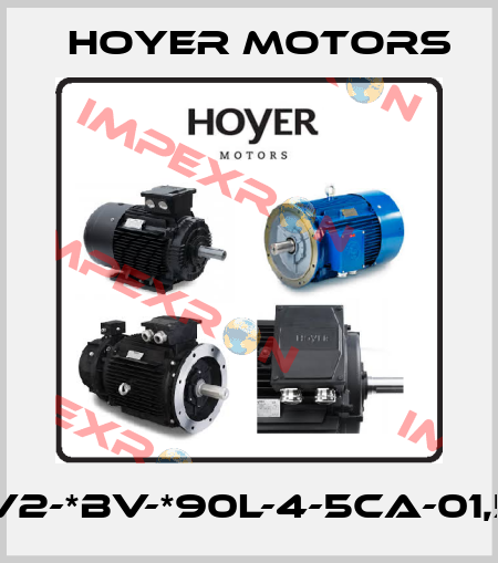 MOT-FC-EV2-*BV-*90L-4-5CA-01,5-A3T-H0Y Hoyer Motors