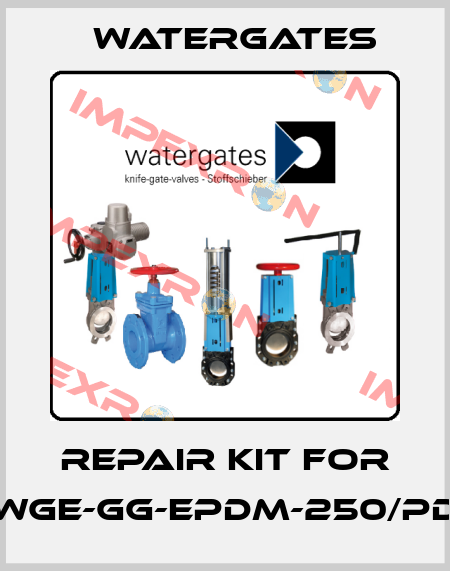 Repair kit for WGE-GG-EPDM-250/PD Watergates