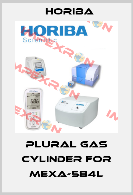 Plural gas cylinder for MEXA-584L Horiba
