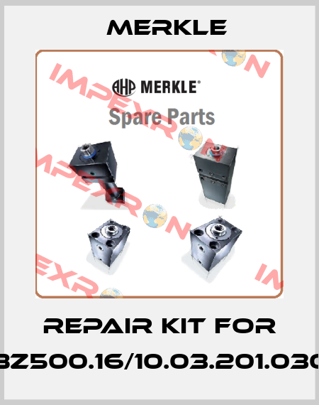 repair kit for BZ500.16/10.03.201.030 Merkle