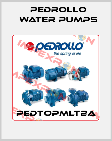 PEDTOPMLT2A Pedrollo Water Pumps