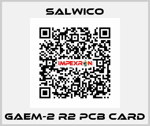GAEM-2 R2 PCB CARD Salwico
