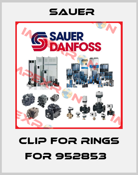 Clip for rings for 952853   Sauer