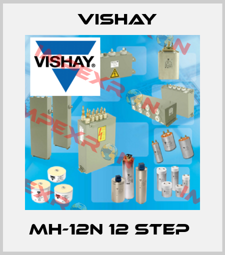 MH-12N 12 STEP  Vishay
