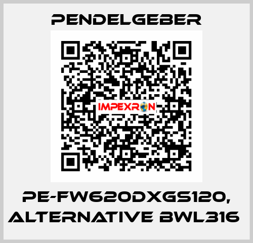 PE-FW620dxGS120, alternative BWL316  Pendelgeber