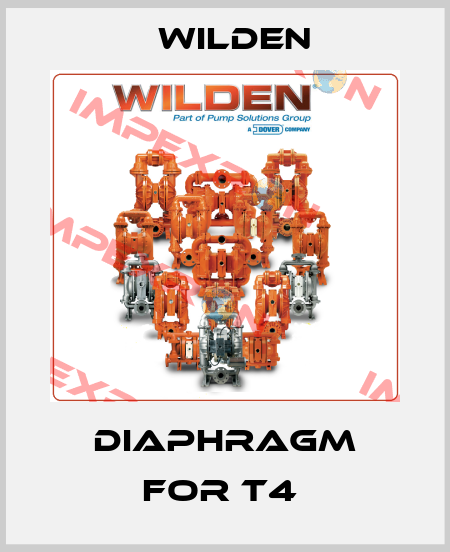 diaphragm for T4  Wilden