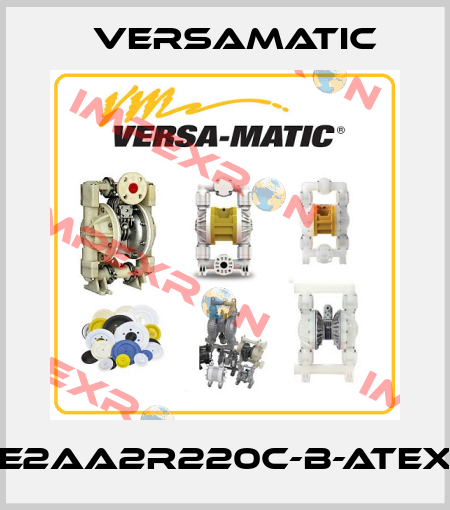 E2AA2R220C-B-ATEX VersaMatic
