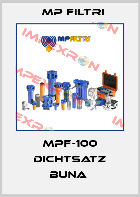 MPF-100 DICHTSATZ BUNA  MP Filtri