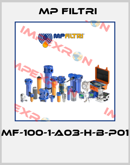 MF-100-1-A03-H-B-P01  MP Filtri