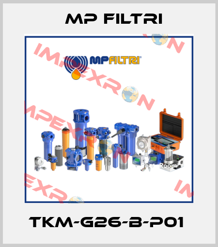 TKM-G26-B-P01  MP Filtri