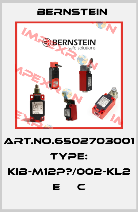 Art.No.6502703001 Type: KIB-M12P?/002-KL2      E     C Bernstein