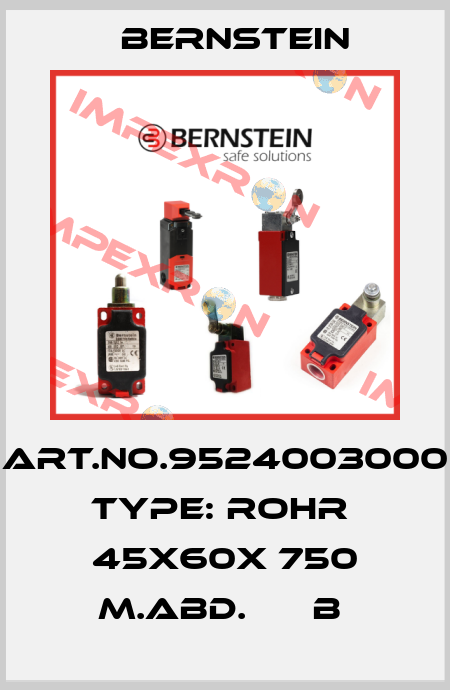 Art.No.9524003000 Type: ROHR  45X60X 750 M.ABD.      B  Bernstein