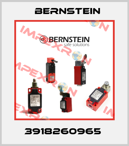 3918260965  Bernstein