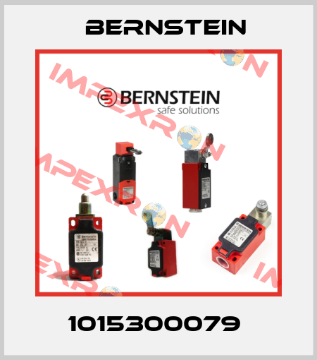 1015300079  Bernstein