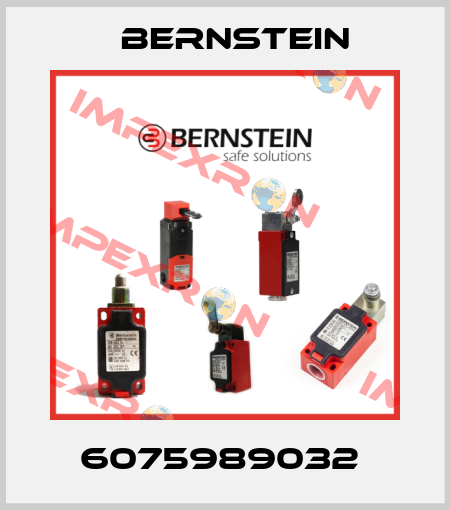 6075989032  Bernstein