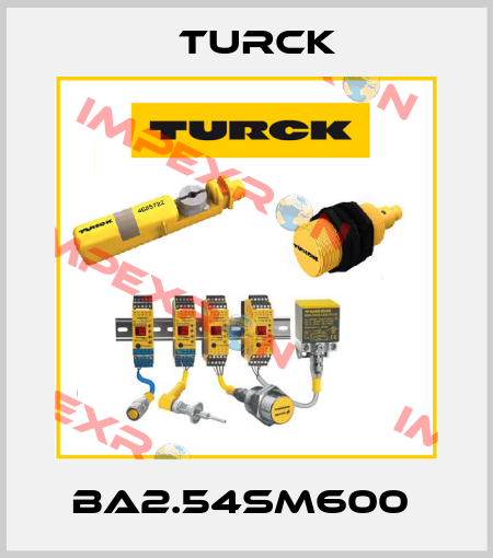 BA2.54SM600  Turck