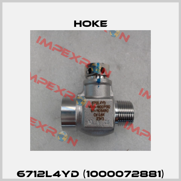 6712L4YD (1000072881) Hoke