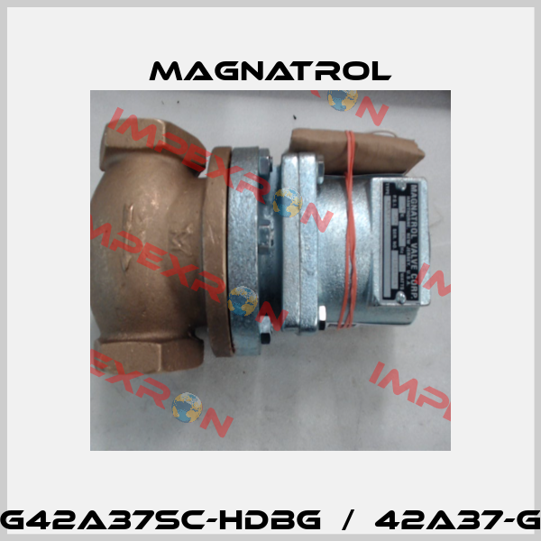 G42A37SC-HDBG  /  42A37-G Magnatrol