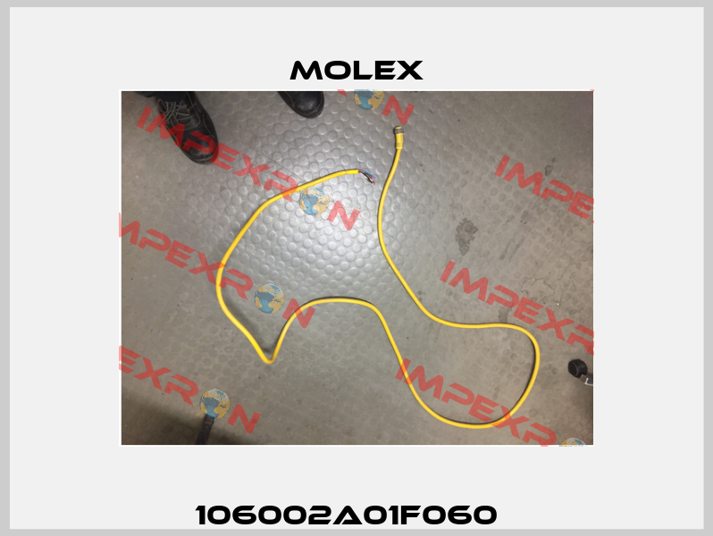 106002A01F060   Molex