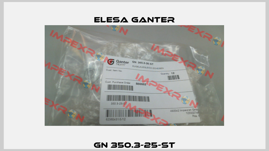 GN 350.3-25-ST Elesa Ganter