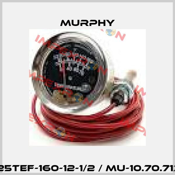 A25TEF-160-12-1/2 / MU-10.70.7135 Murphy